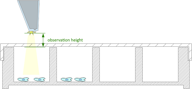 observation offset