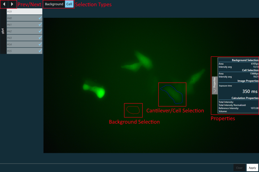 Selection overview