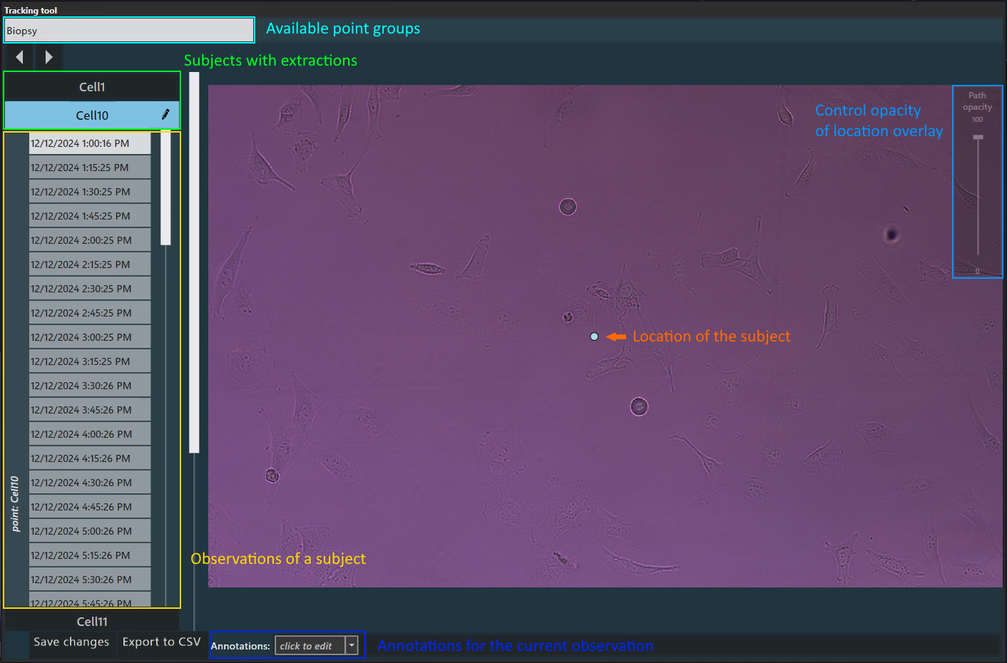 Cantilever Volume Estimation dialog Screenshot
