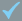 check mark