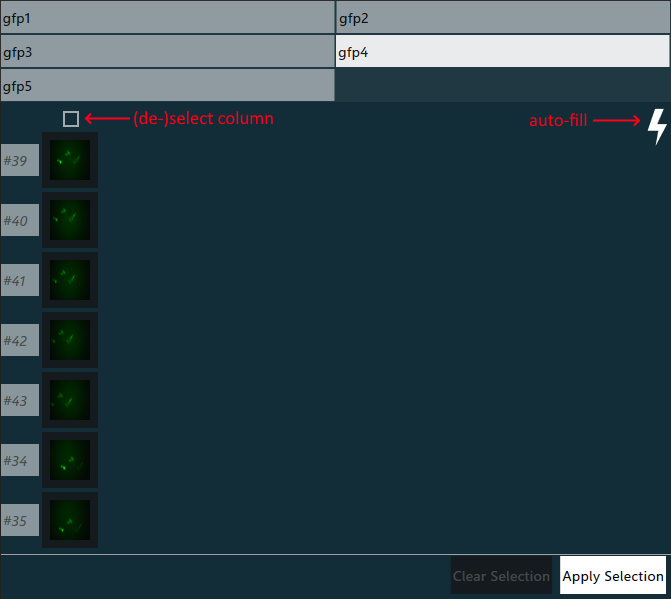 Cell Image Selector Screenshot